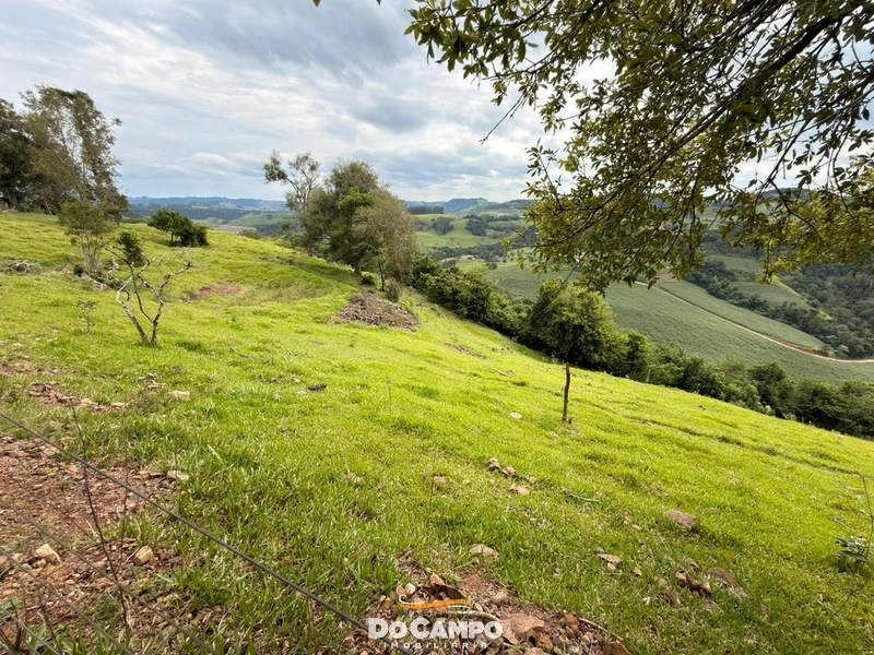 : 10ª foto da galeria de imagens do imóvel