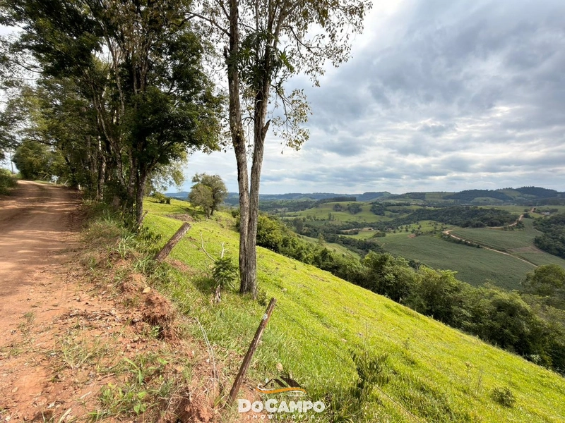 : 11ª foto da galeria de imagens do imóvel