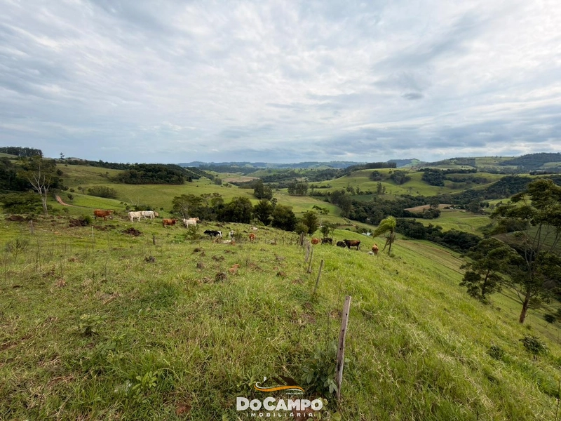 : 26ª foto da galeria de imagens do imóvel