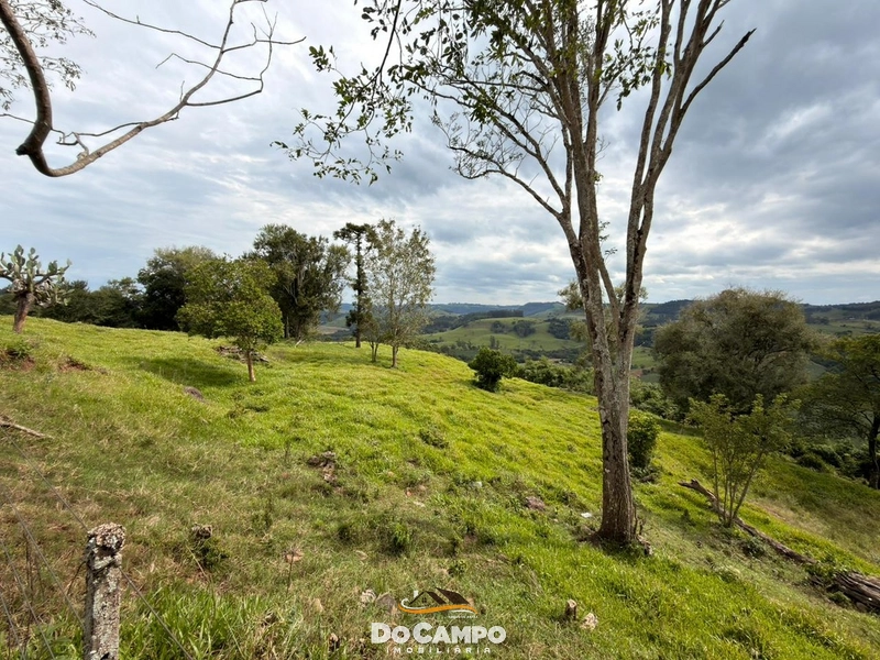 : 12ª foto da galeria de imagens do imóvel