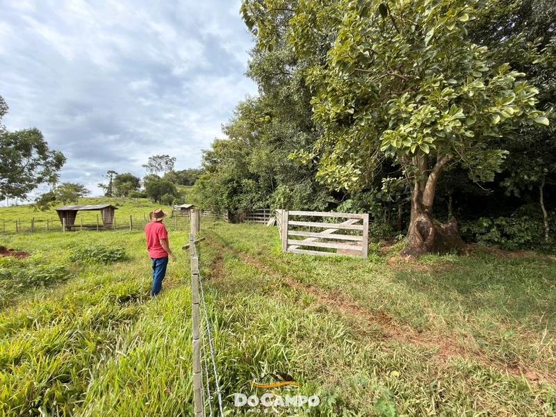 : 22ª foto da galeria de imagens do imóvel