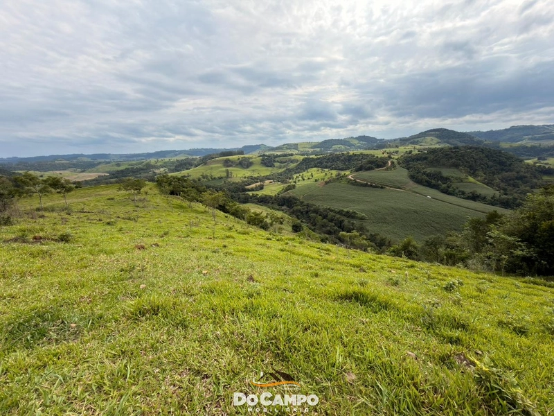 : 1ª foto da galeria de imagens do imóvel