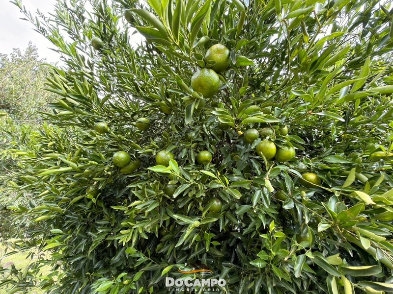 : 23ª foto da galeria de imagens do imóvel