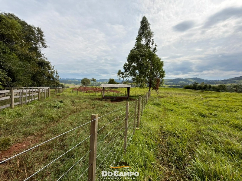 : 5ª foto da galeria de imagens do imóvel