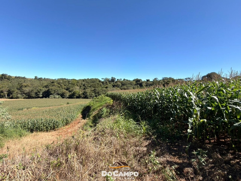 : 10ª foto da galeria de imagens do imóvel