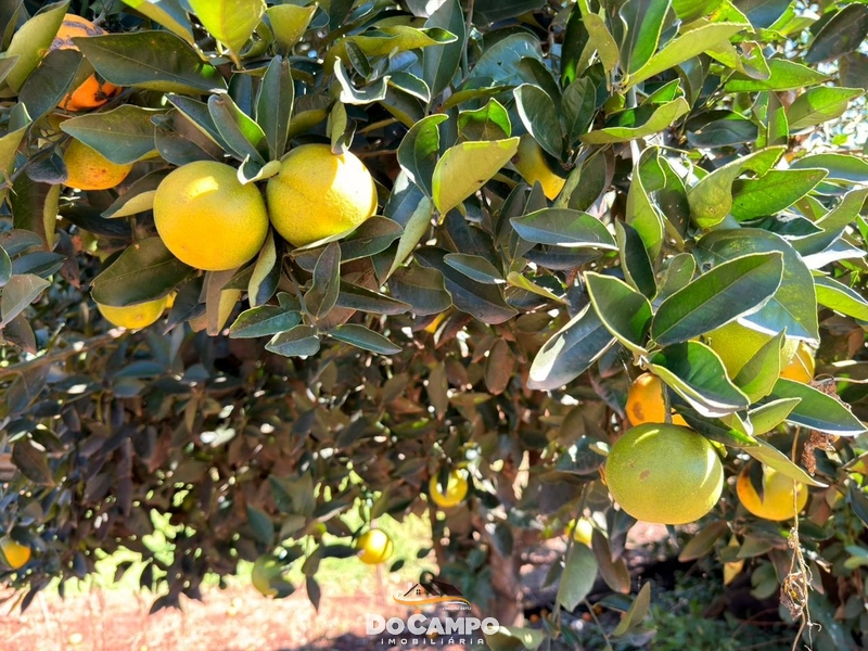 : 8ª foto da galeria de imagens do imóvel