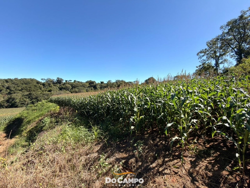 : 12ª foto da galeria de imagens do imóvel