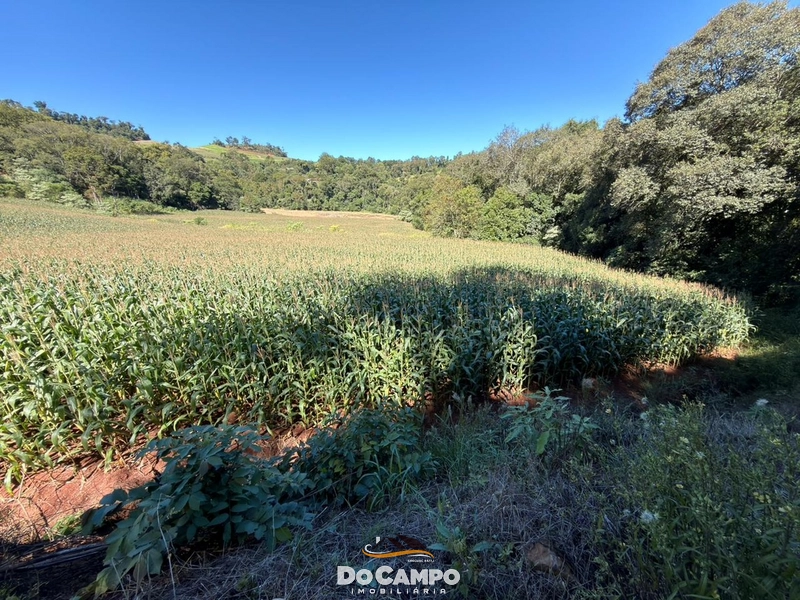 : 14ª foto da galeria de imagens do imóvel