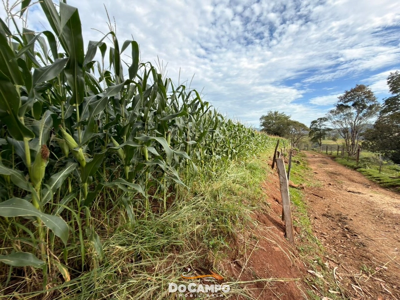 : 19ª foto da galeria de imagens do imóvel