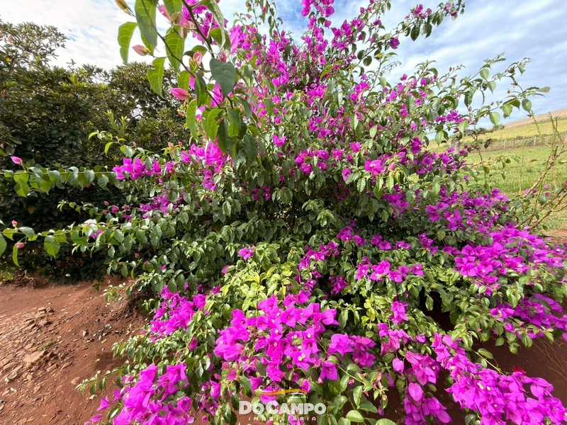 : 6ª foto da galeria de imagens do imóvel