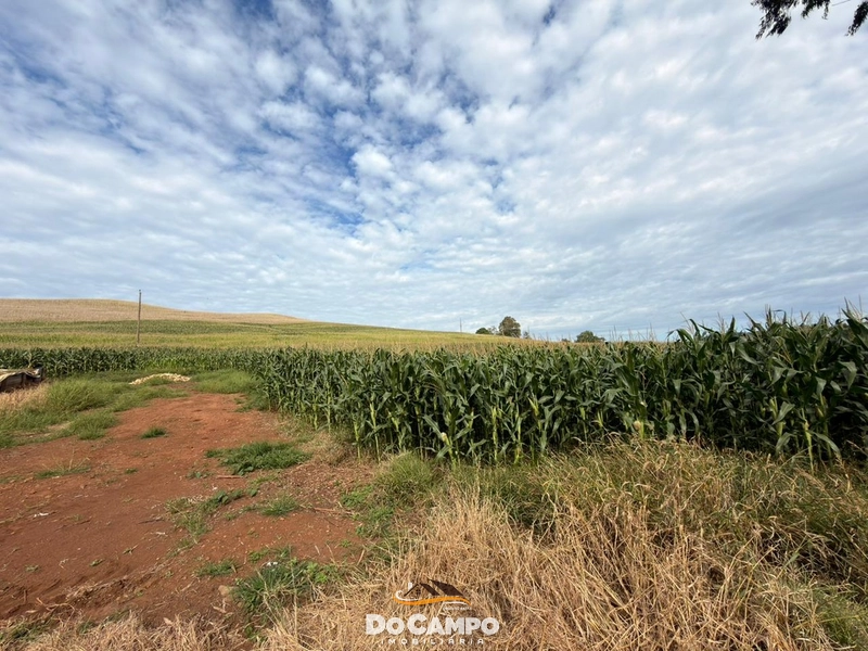 : 17ª foto da galeria de imagens do imóvel
