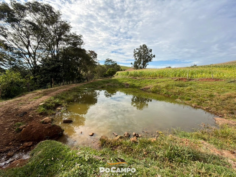 : 11ª foto da galeria de imagens do imóvel