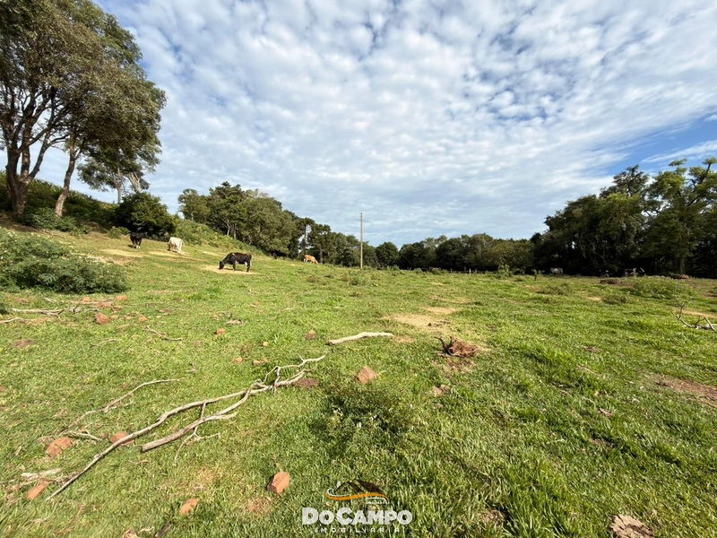 : 20ª foto da galeria de imagens do imóvel