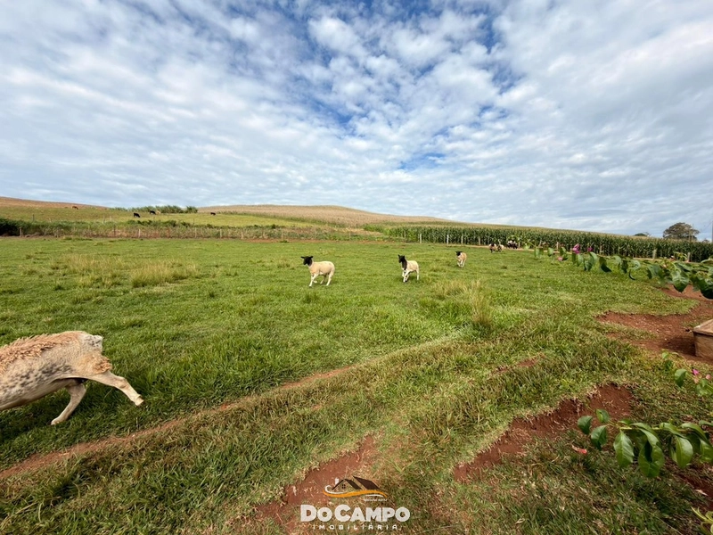 : 12ª foto da galeria de imagens do imóvel