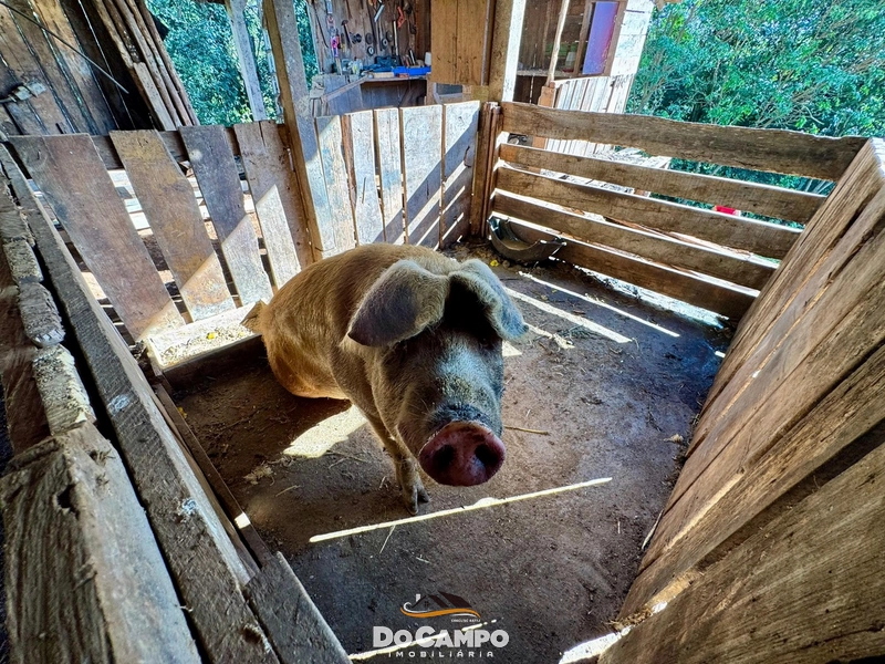 : 6ª foto da galeria de imagens do imóvel