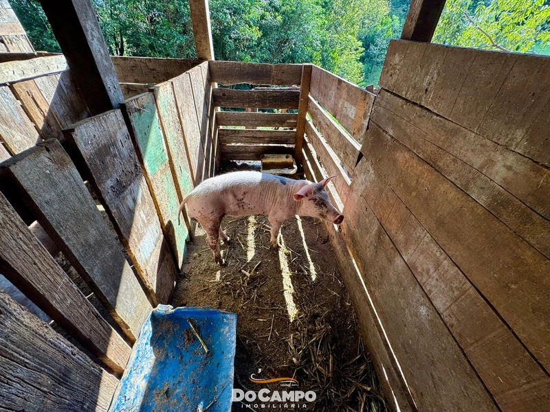 : 8ª foto da galeria de imagens do imóvel