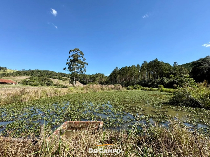 : 23ª foto da galeria de imagens do imóvel