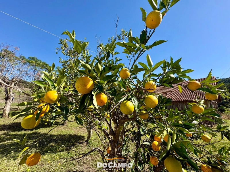 : 6ª foto da galeria de imagens do imóvel