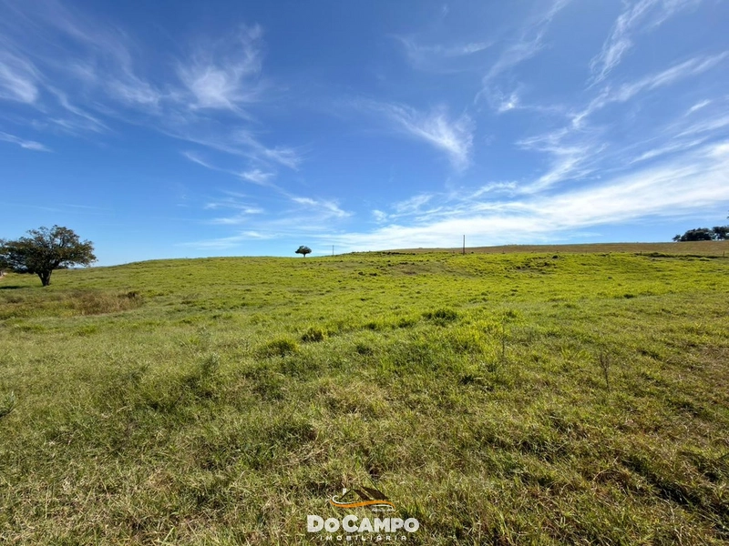 : 23ª foto da galeria de imagens do imóvel