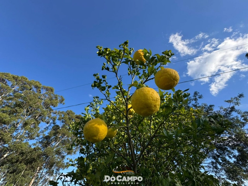 : 28ª foto da galeria de imagens do imóvel