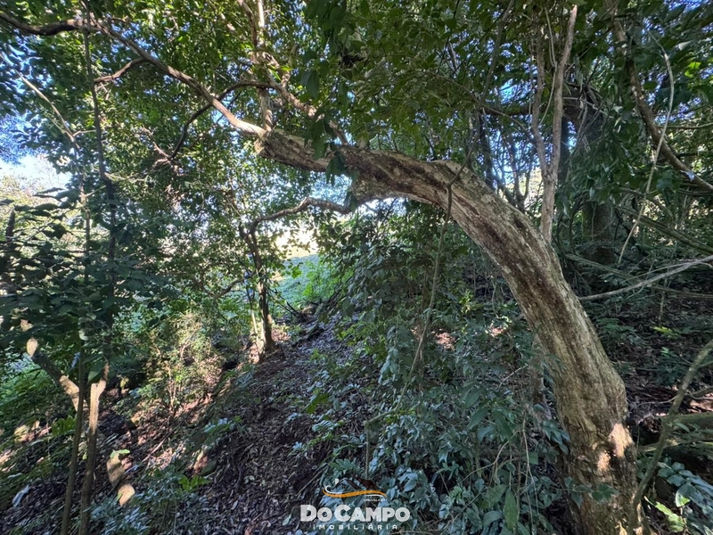 : 27ª foto da galeria de imagens do imóvel