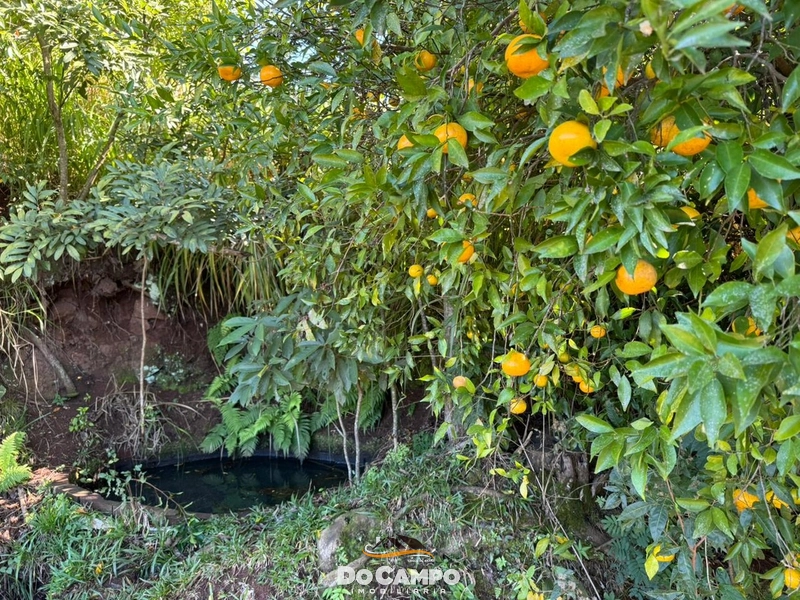 : 24ª foto da galeria de imagens do imóvel