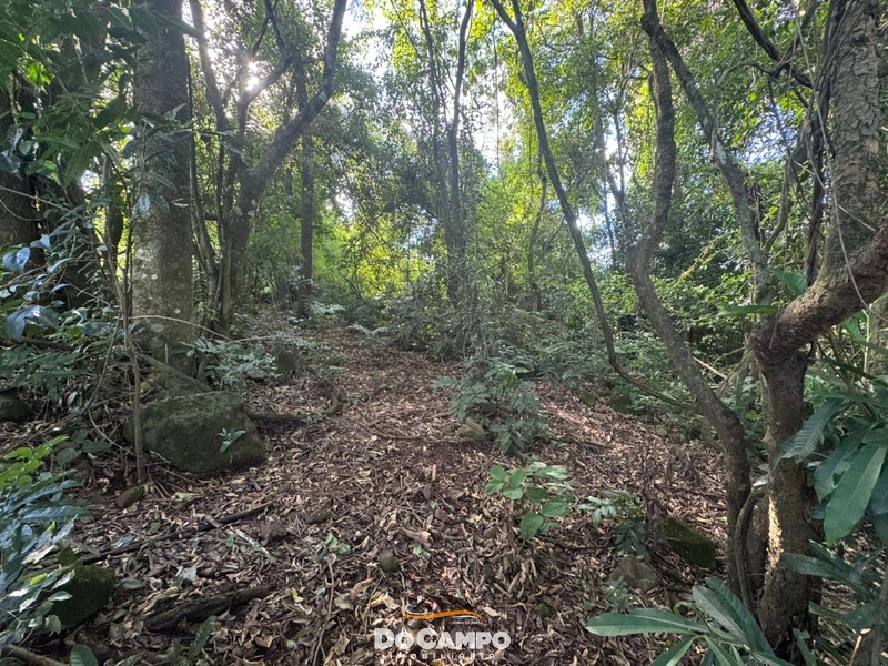 : 10ª foto da galeria de imagens do imóvel