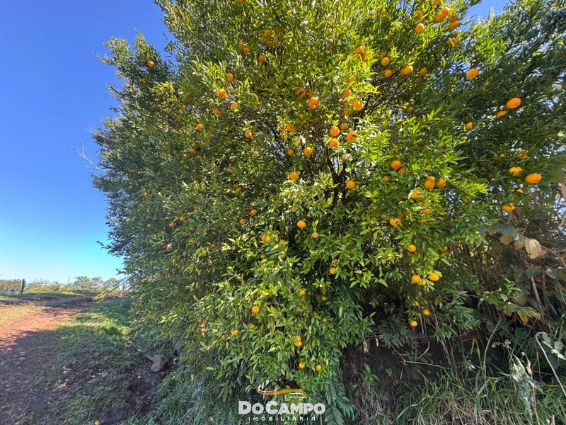 : 25ª foto da galeria de imagens do imóvel