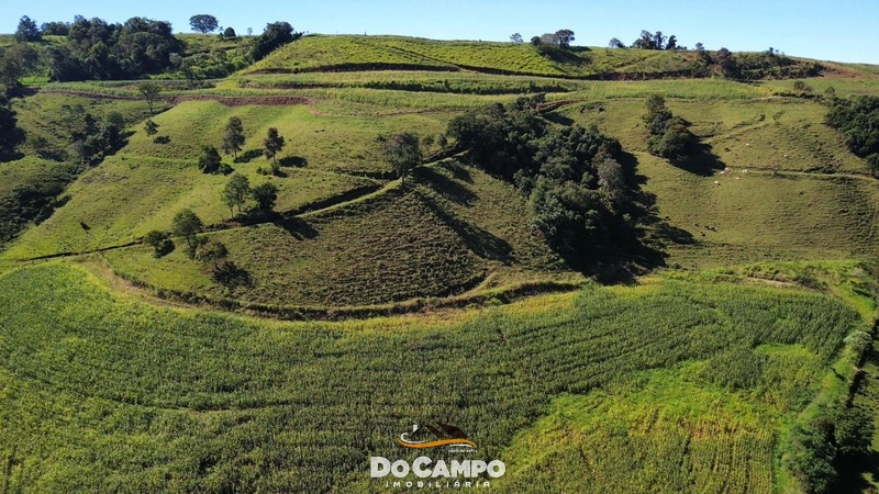 : 7ª foto da galeria de imagens do imóvel
