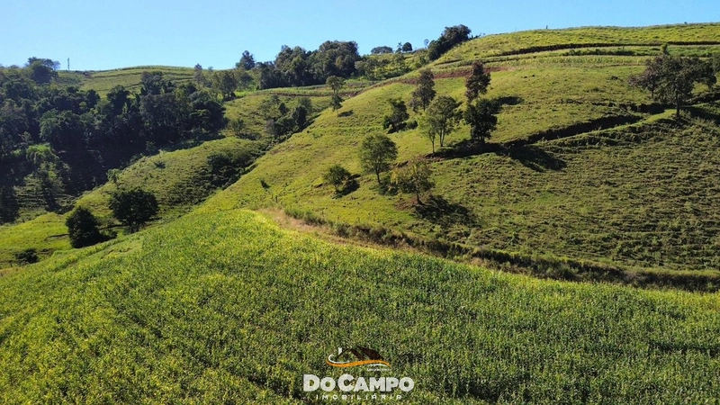 : 1ª foto da galeria de imagens do imóvel