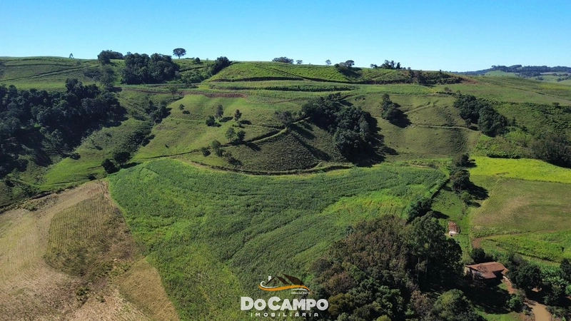 : 5ª foto da galeria de imagens do imóvel