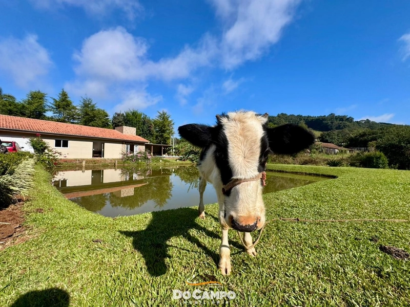 : 19ª foto da galeria de imagens do imóvel