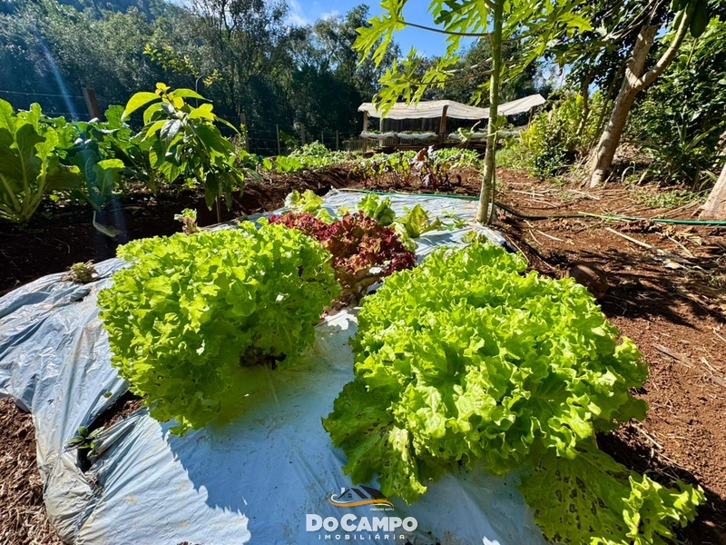 : 14ª foto da galeria de imagens do imóvel