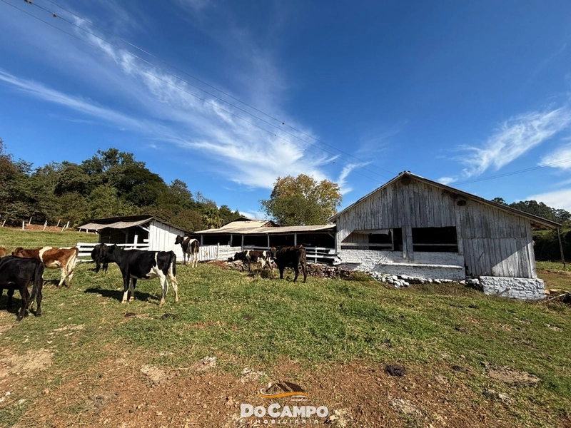 : 13ª foto da galeria de imagens do imóvel