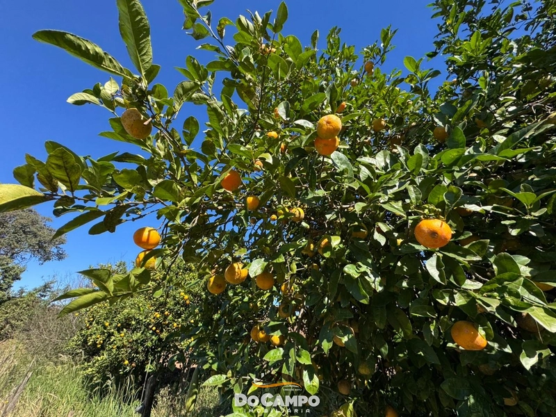 : 15ª foto da galeria de imagens do imóvel
