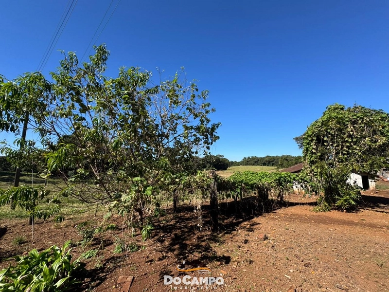 : 29ª foto da galeria de imagens do imóvel