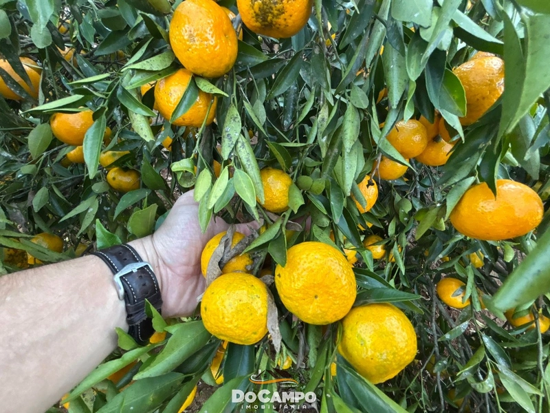 : 18ª foto da galeria de imagens do imóvel
