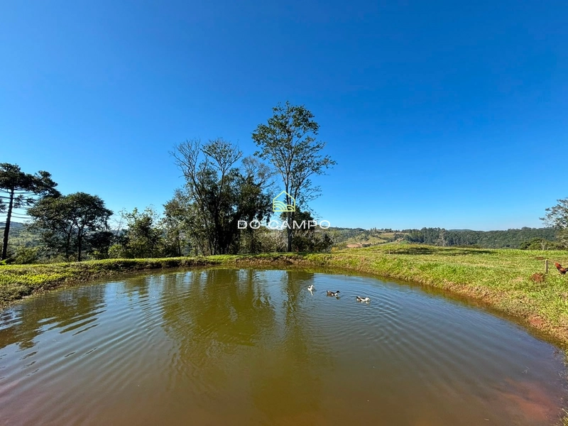 : 1ª foto da galeria de imagens do imóvel