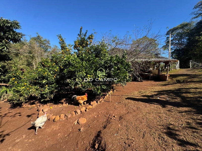 : 12ª foto da galeria de imagens do imóvel