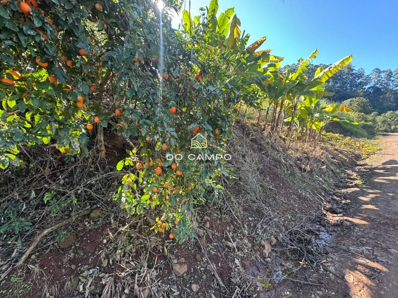 : 25ª foto da galeria de imagens do imóvel
