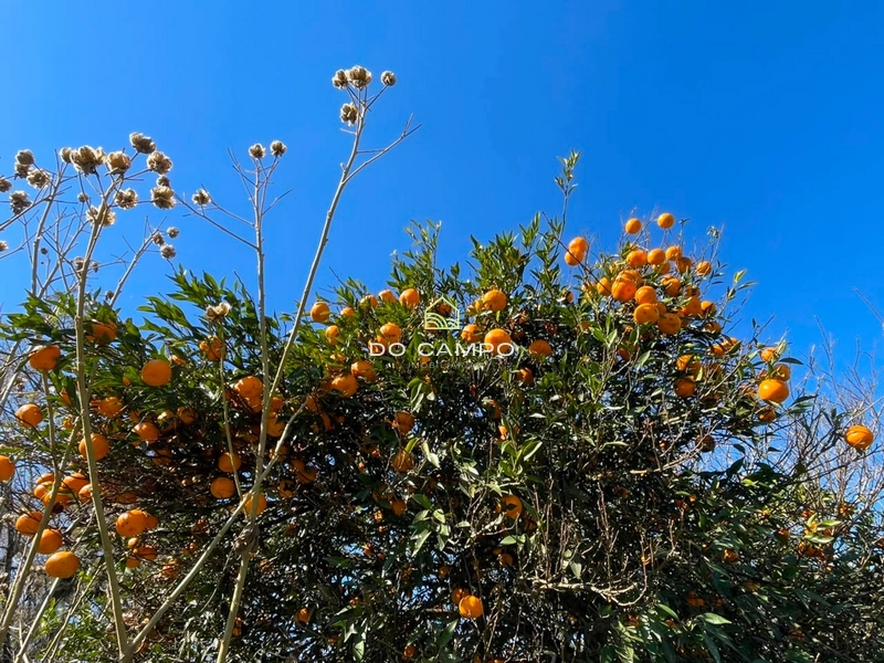 : 6ª foto da galeria de imagens do imóvel