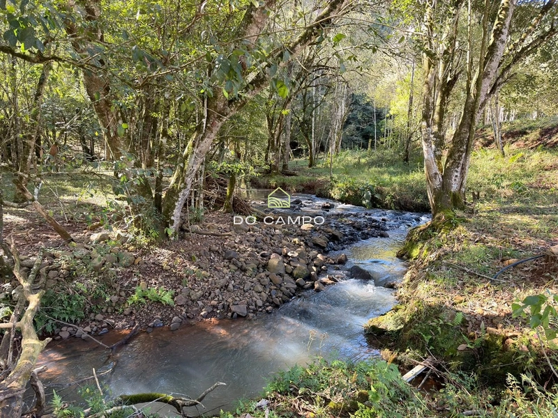 : 19ª foto da galeria de imagens do imóvel