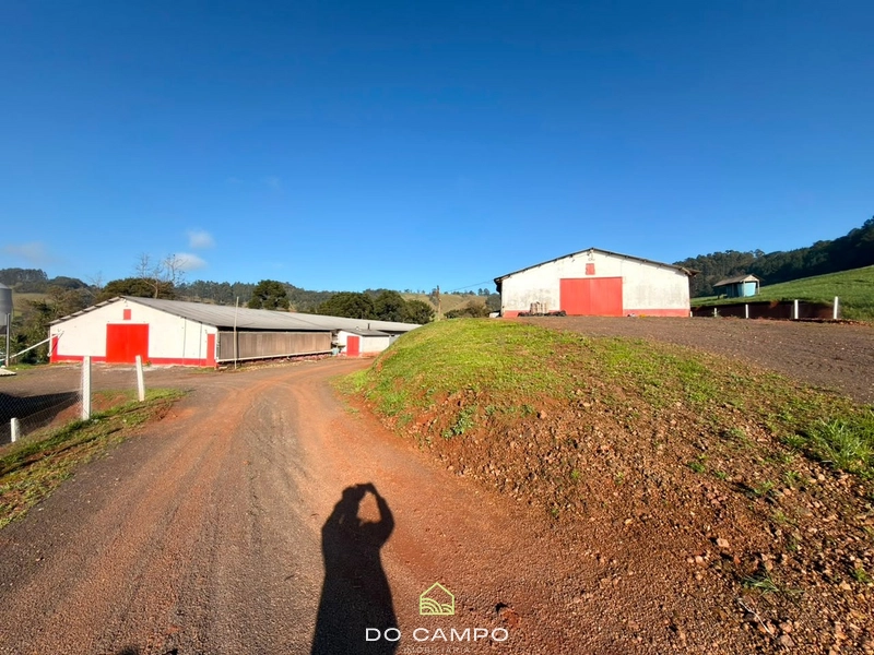 : 14ª foto da galeria de imagens do imóvel