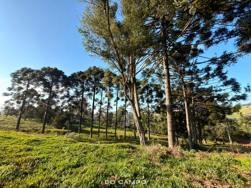 : 17ª foto da galeria de imagens do imóvel