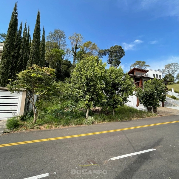 TERRENO BAIRRO NOBRE: 5ª foto da galeria de imagens do imóvel