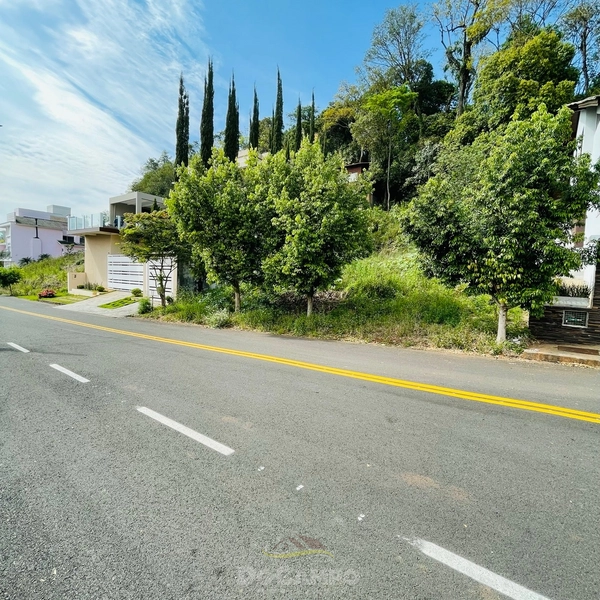 TERRENO BAIRRO NOBRE: 4ª foto da galeria de imagens do imóvel