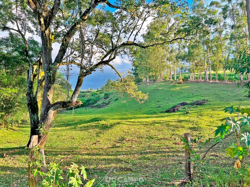 : 1ª foto da galeria de imagens do imóvel