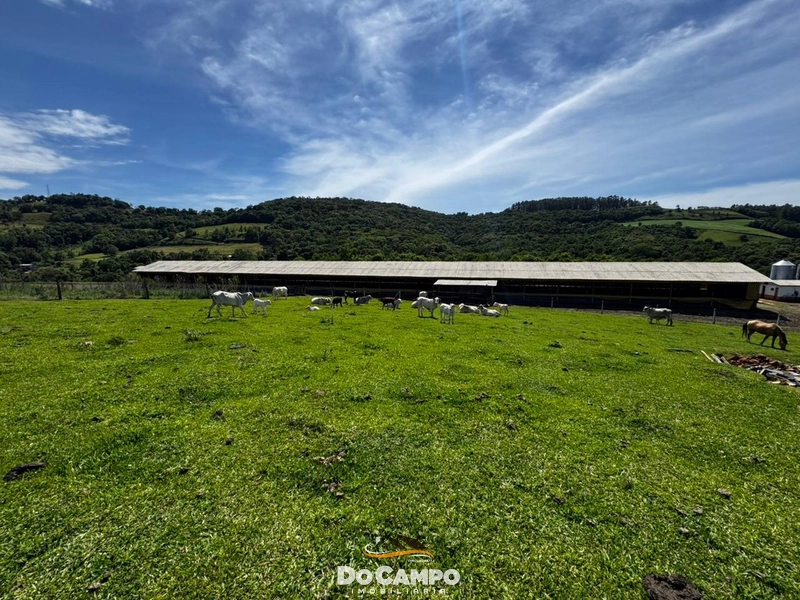 : 53ª foto da galeria de imagens do imóvel