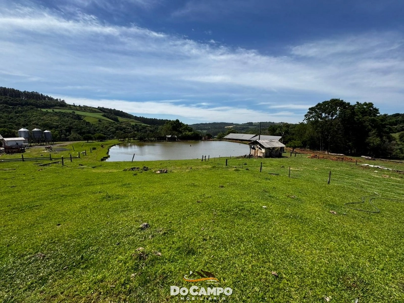 : 47ª foto da galeria de imagens do imóvel