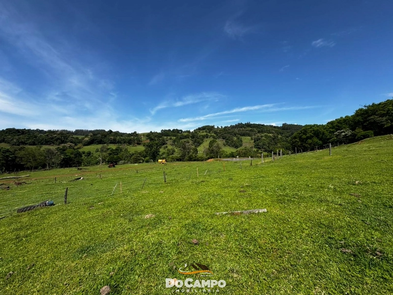 : 49ª foto da galeria de imagens do imóvel